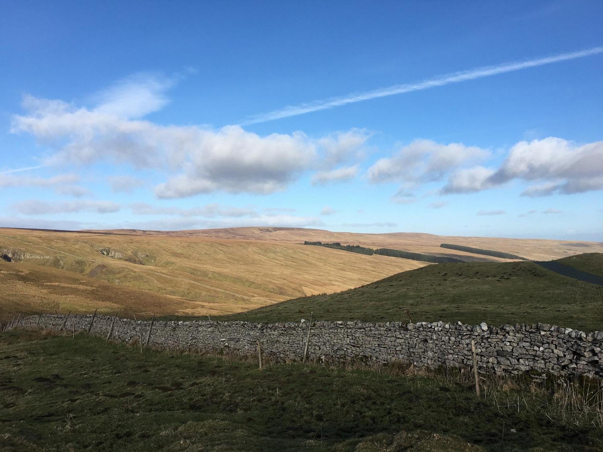 Foal Barn Cottages - The Smithy - Spennithorne Middleham Eksteriør bilde